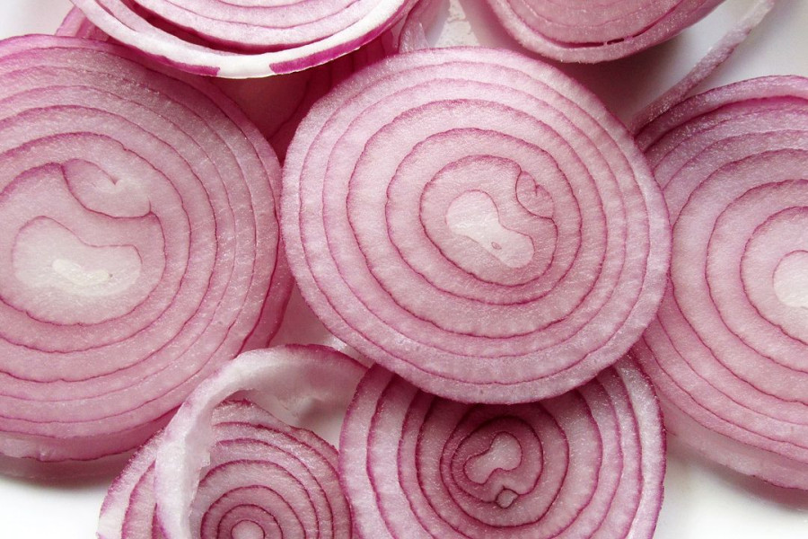 bawang merah probolinggo