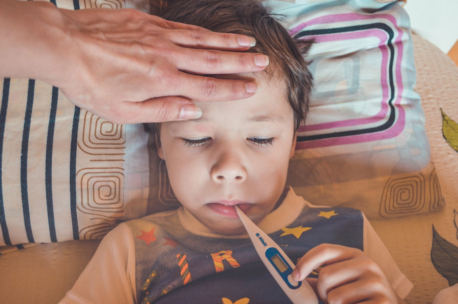 bawang merah probolinggo