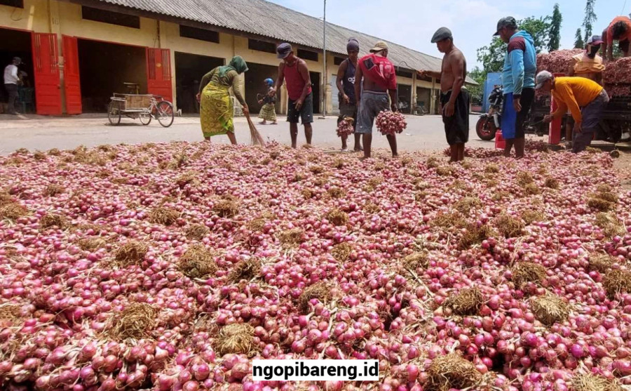 bawang merah probolinggo