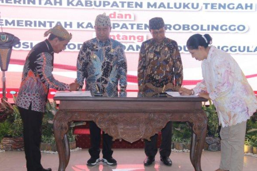 bawang merah probolinggo