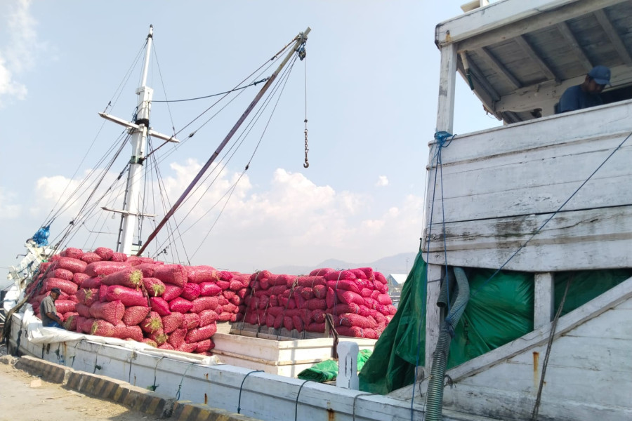 bawang merah probolinggo