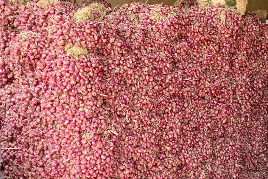 bawang merah probolinggo