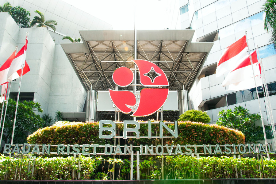 bawang merah probolinggo